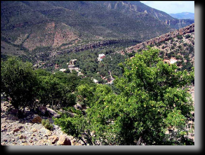 Vall�e verte et ses arganiers