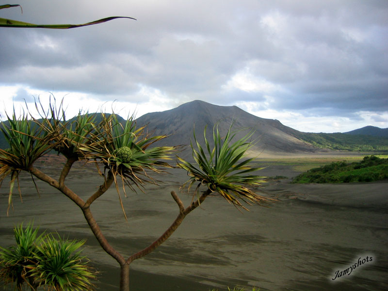 La plaine Nord du Volcan Yasur
