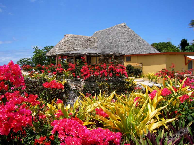 White grass resort, Paradis!!